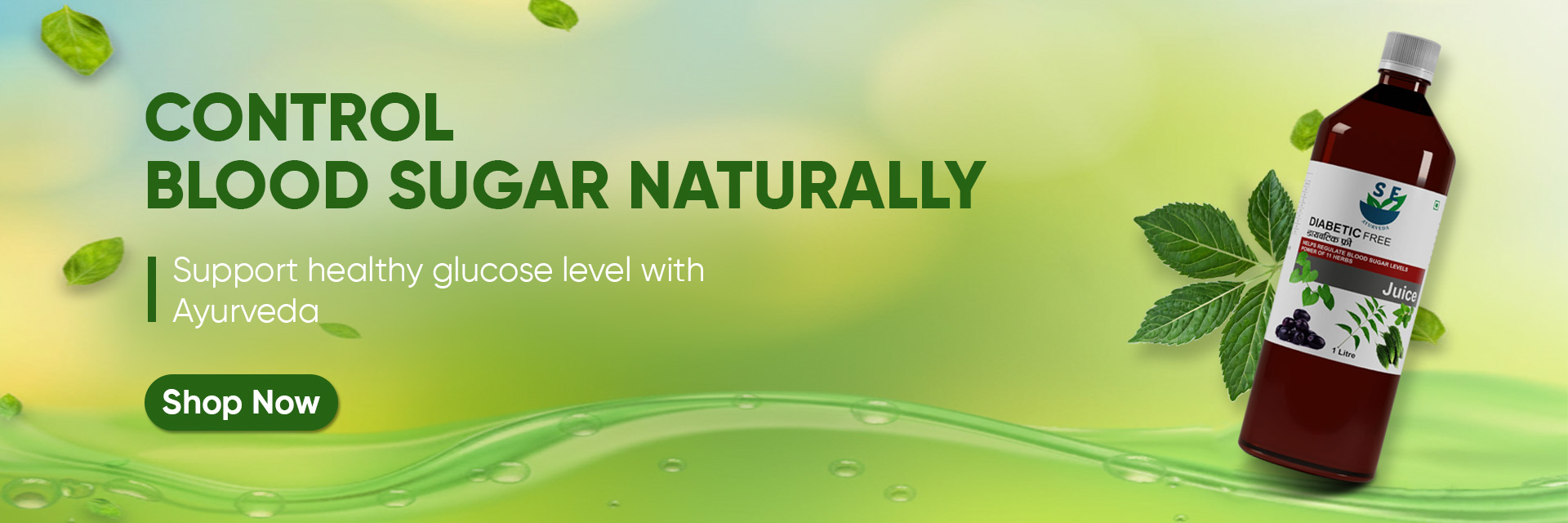 SE Ayurveda Diabetic Free Website Banner