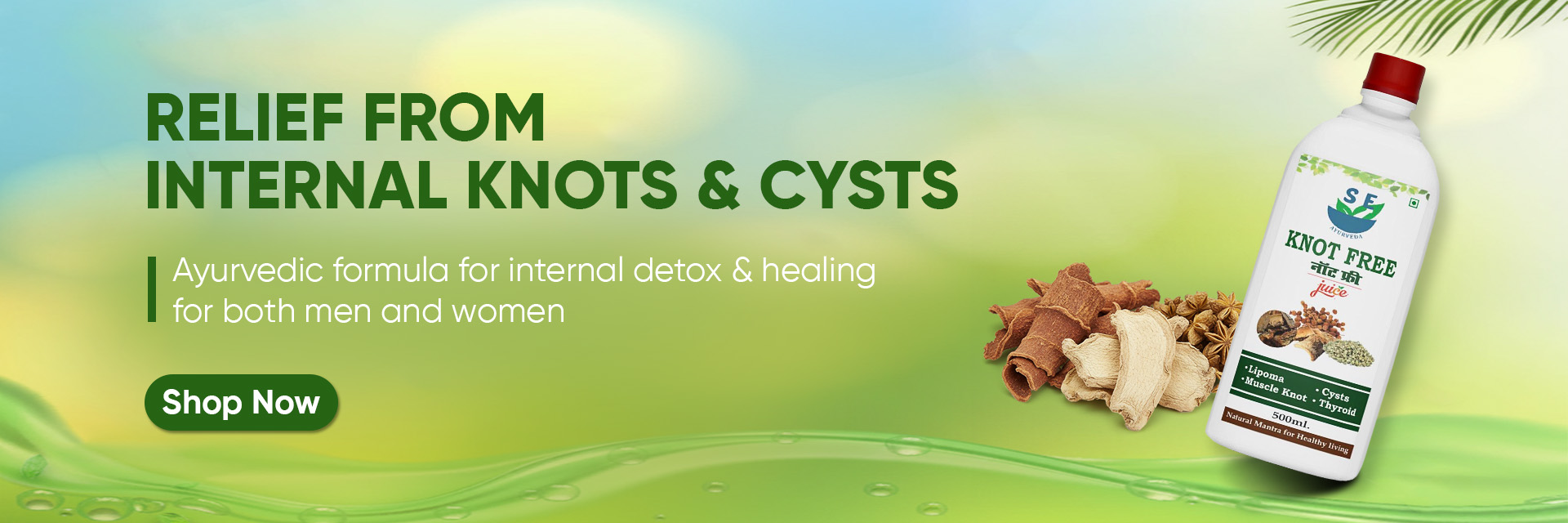SE Ayurveda Knot Free Website Banner
