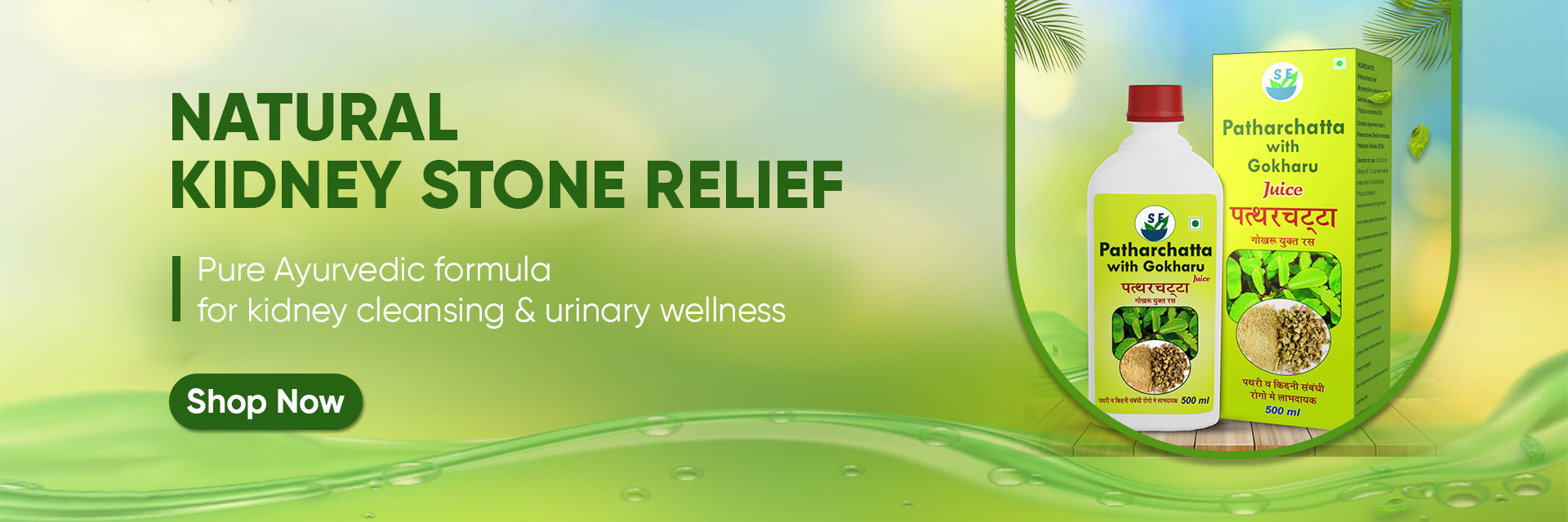 SE Ayurveda Website Banner